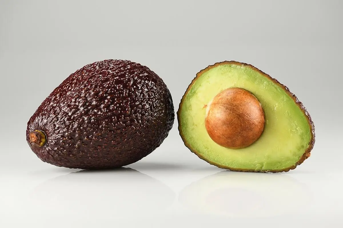Avocado Hass